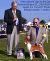 Click to view enlarged image of Tony at his first show being awarded Reserve Winners Dog.